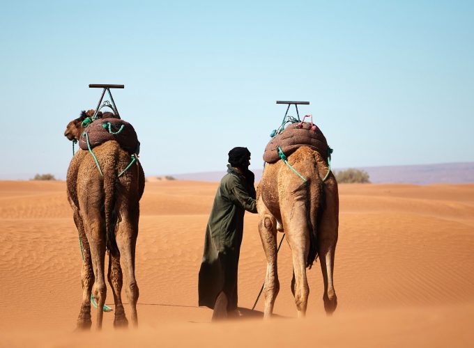 Art of traveling
