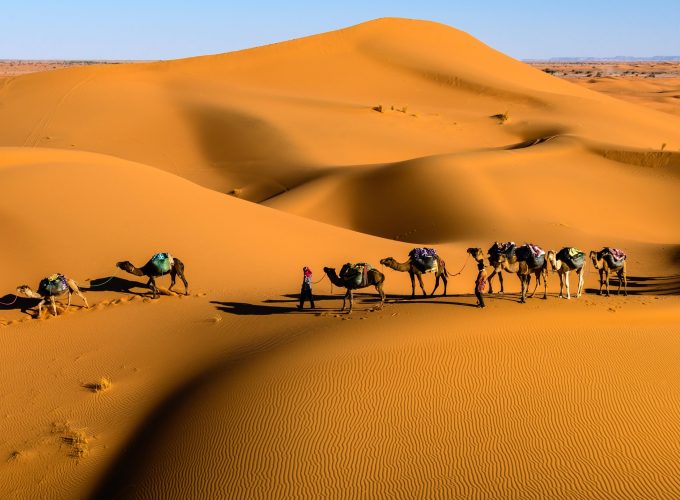 Art of traveling